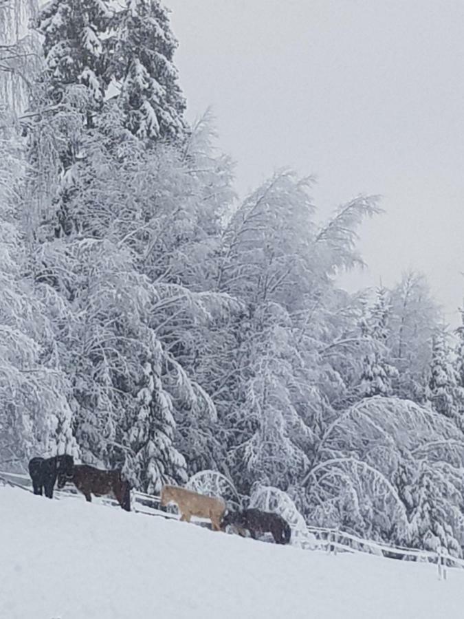 Lille Randklev Gaestehus Ringebu Dış mekan fotoğraf