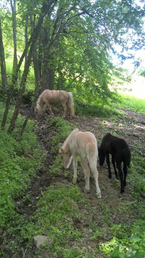Lille Randklev Gaestehus Ringebu Dış mekan fotoğraf